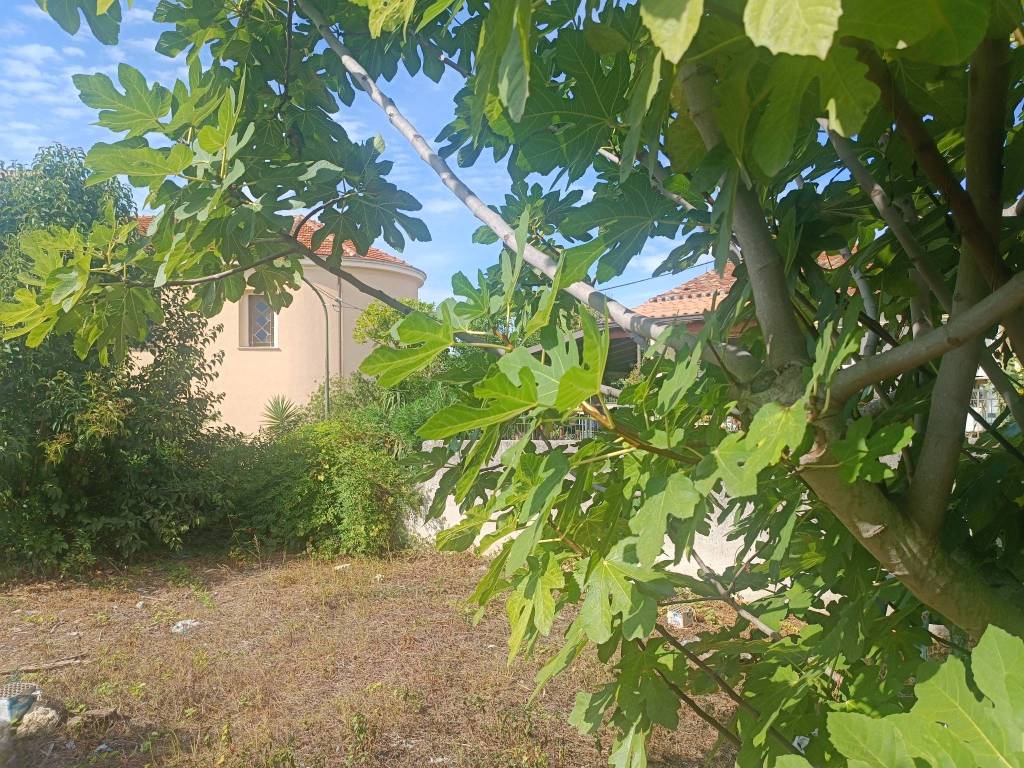 Rustico / casale a Ricadi in Via Giuseppe Garibaldi - Foto 2