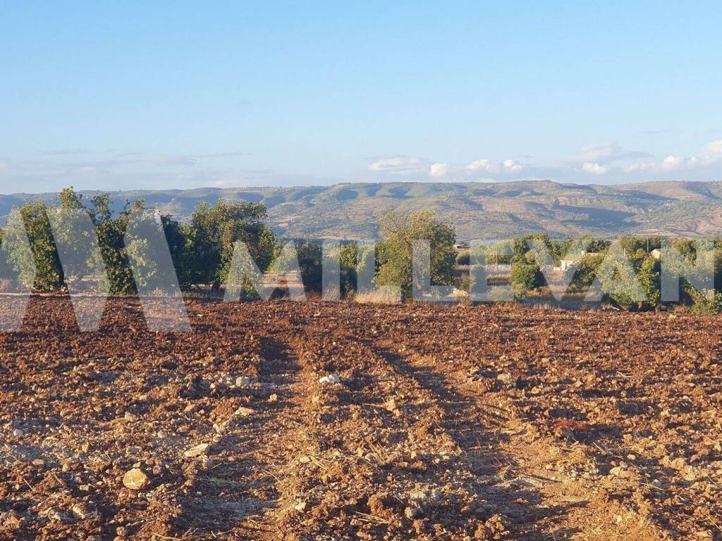 Terreno a Rosolini in SP66 - Foto 3