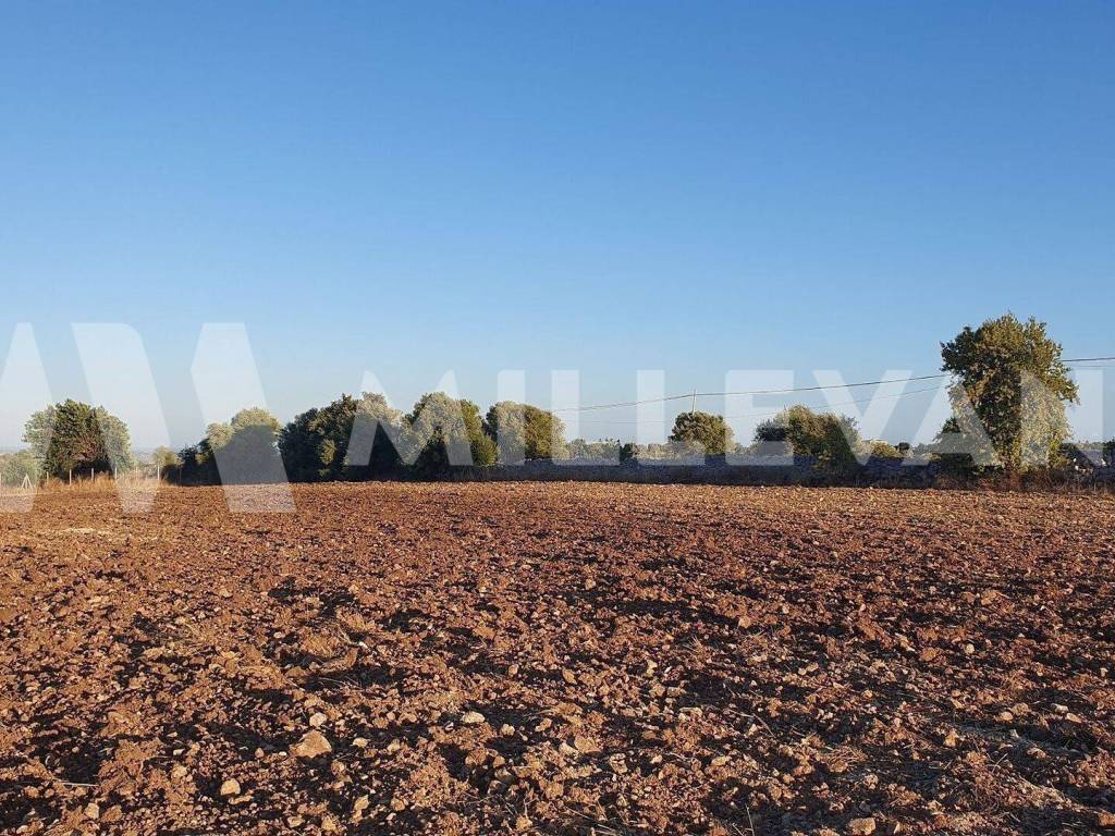 Terreno a Rosolini in SP66 - Foto 5