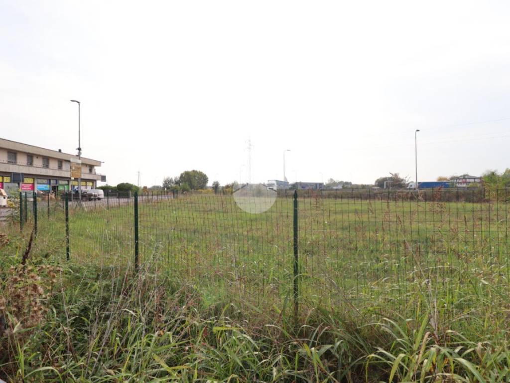 Terreno a San giorgio bigarello - Foto 3