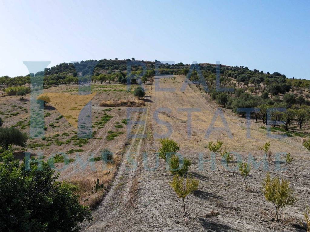 Rustico / casale a Noto in Via Tommaso Fazello, 228 - Foto 3