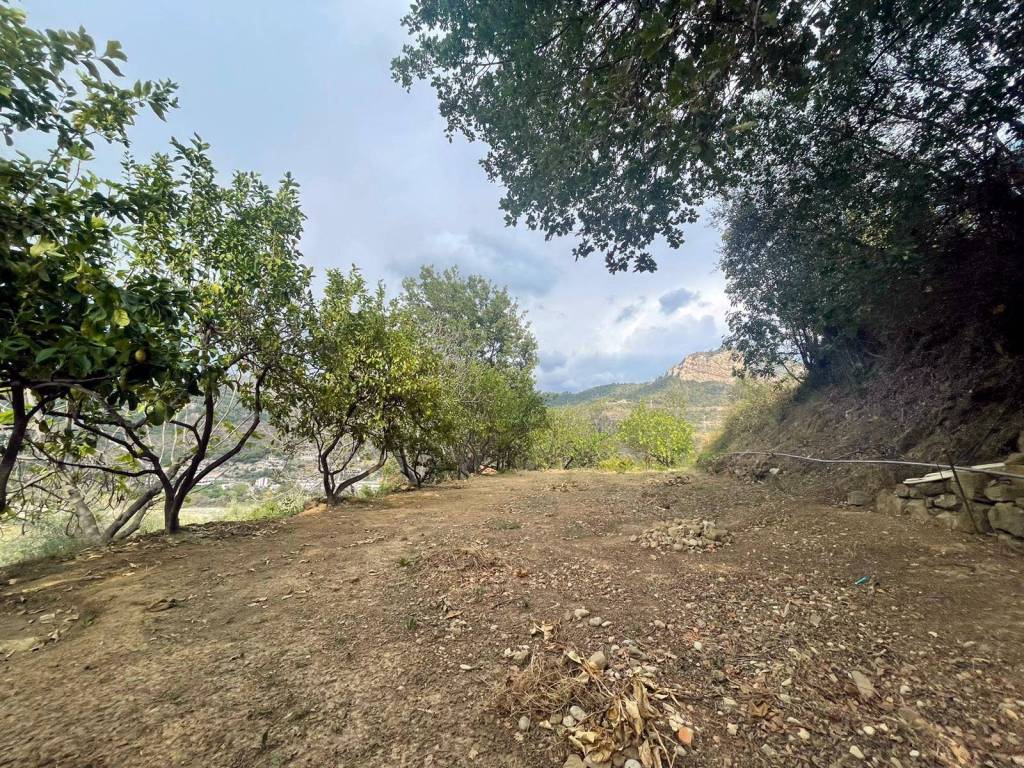 Villa a Ventimiglia in Periferico - Foto 3