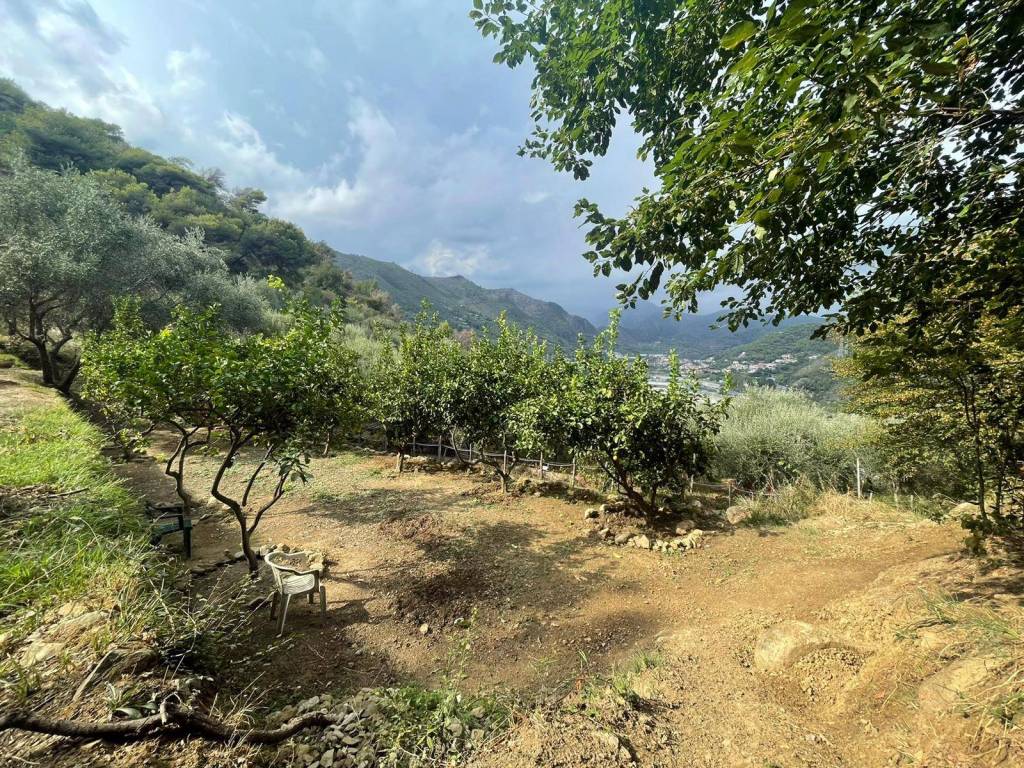 Villa a Ventimiglia in Periferico - Foto 4