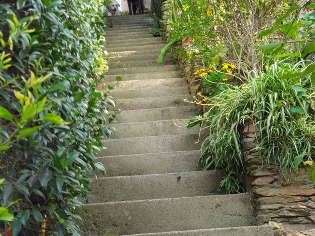 Villa a Pietrasanta - Foto 2
