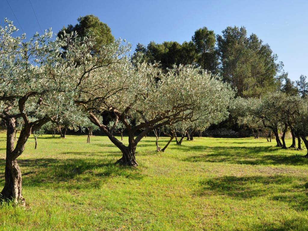 Terreno a Castrocielo in Via Madonna di Loreto - Foto 2