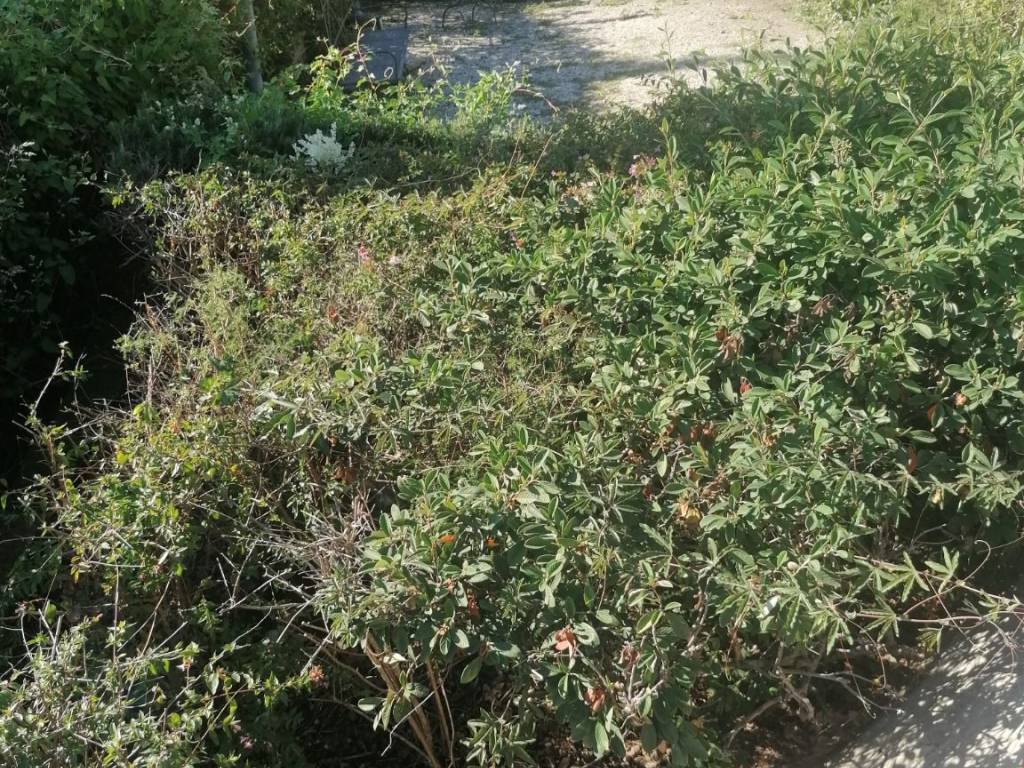 Appartamento a Castagneto carducci in Via Varese, 32 - Foto 4