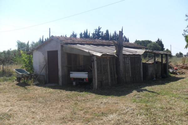 Rustico / casale a Capalbio in Strada Barucola - Foto 5