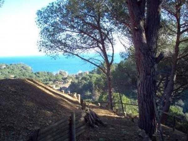 Villa a Capoliveri - Foto 4