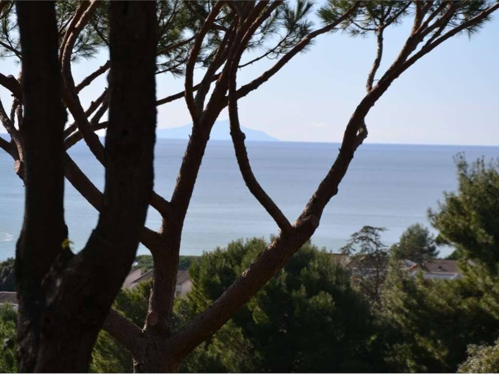 Villa a Castiglione della pescaia - Foto 2