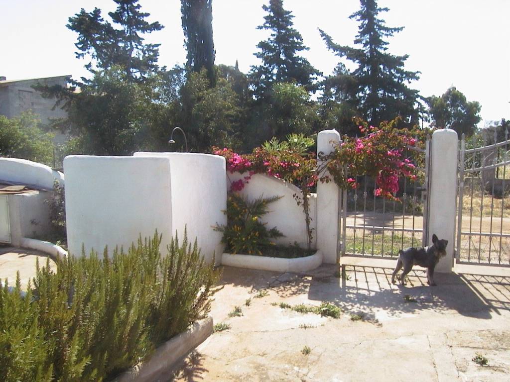 Villa a Siniscola in Via dell'Edera - Foto 4