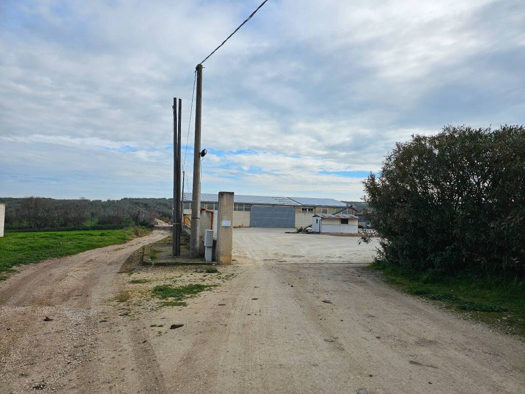 Immobile a San paolo di civitate in Contrada Gallucci, snc - Foto 4
