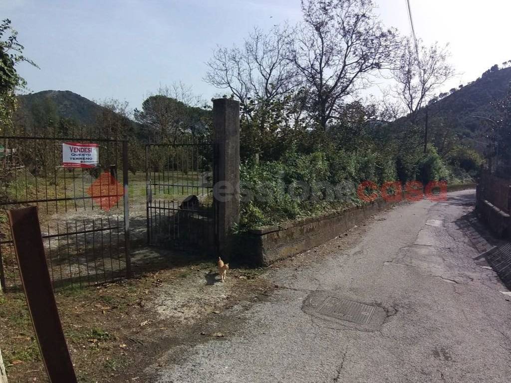 Terreno a Castel san giorgio in Via Torello, 100 - Foto 5