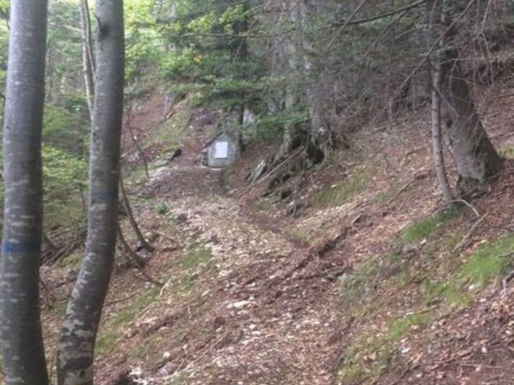 Terreno a Mezzocorona in MONTE MEZZOCORONA KRAUN s.n.c - Foto 2