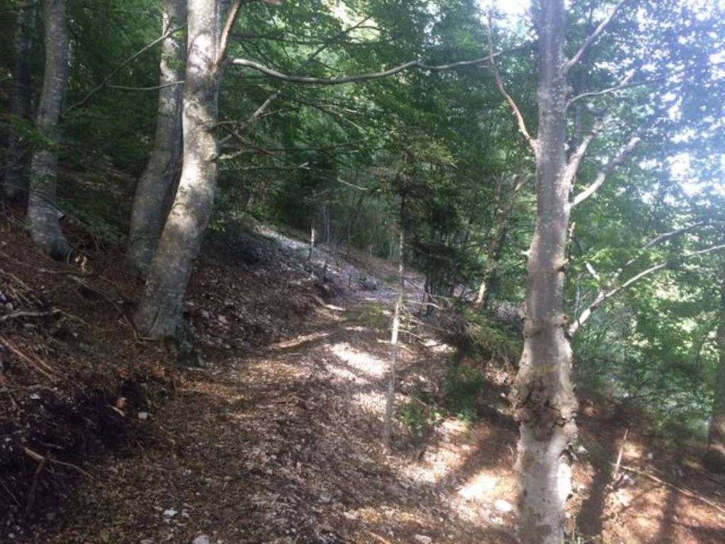 Terreno a Mezzocorona in MONTE MEZZOCORONA KRAUN s.n.c - Foto 4