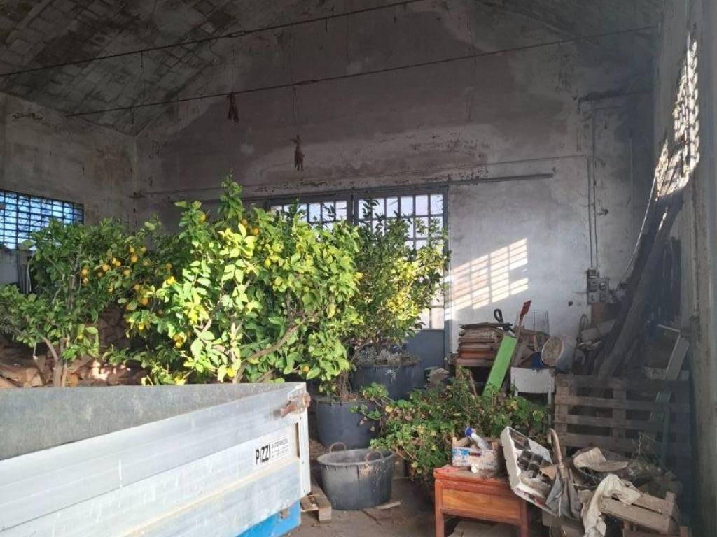 Rustico / casale a Valsamoggia - Foto 4