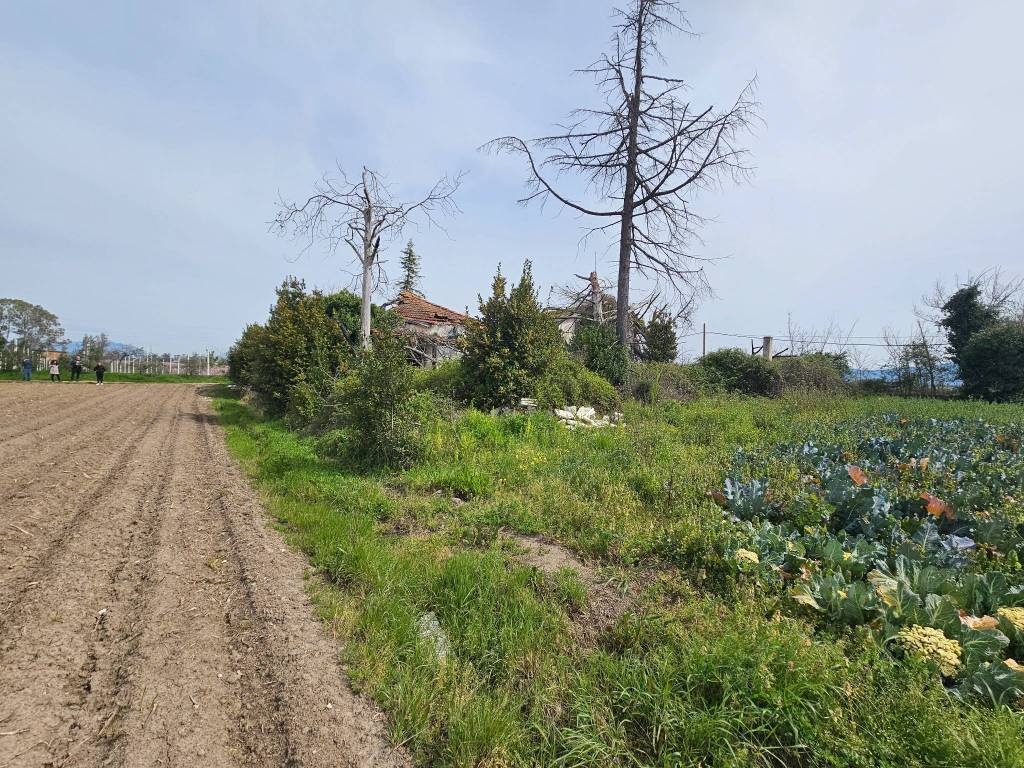 Casa indipendente a Sessa aurunca in Via Arianuova, 63 - Foto 2