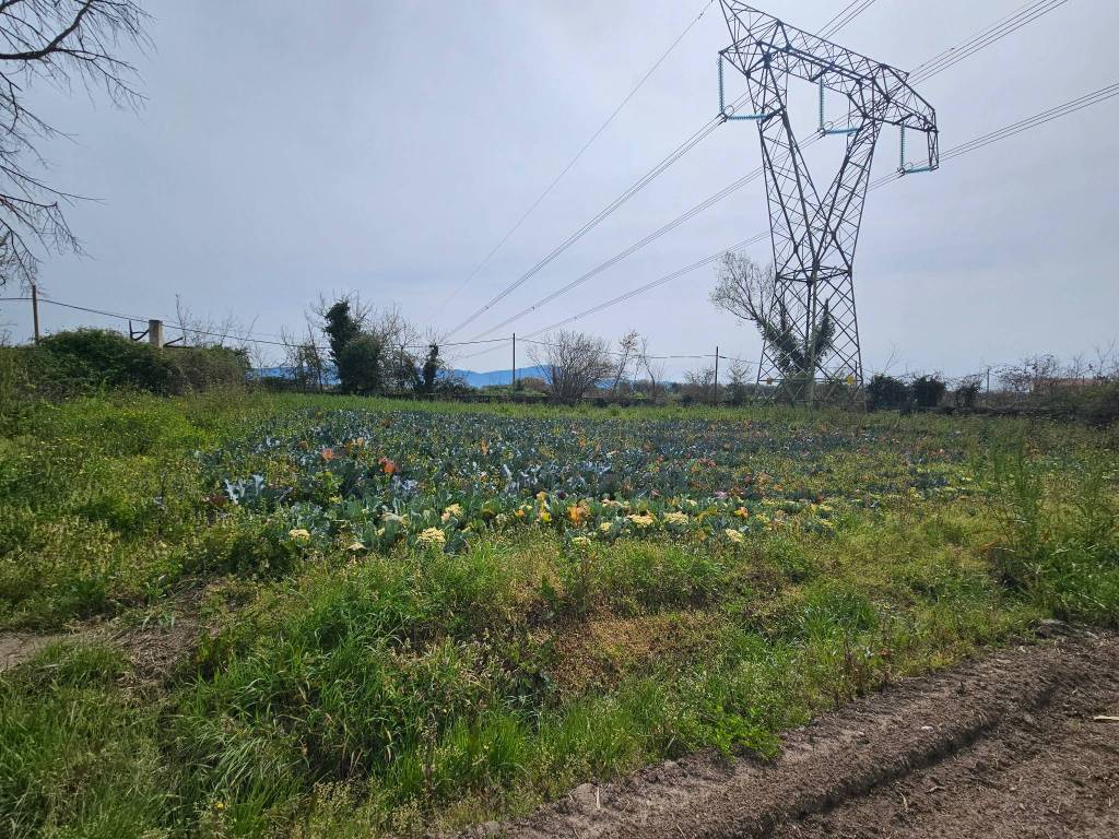 Casa indipendente a Sessa aurunca in Via Arianuova, 63 - Foto 5
