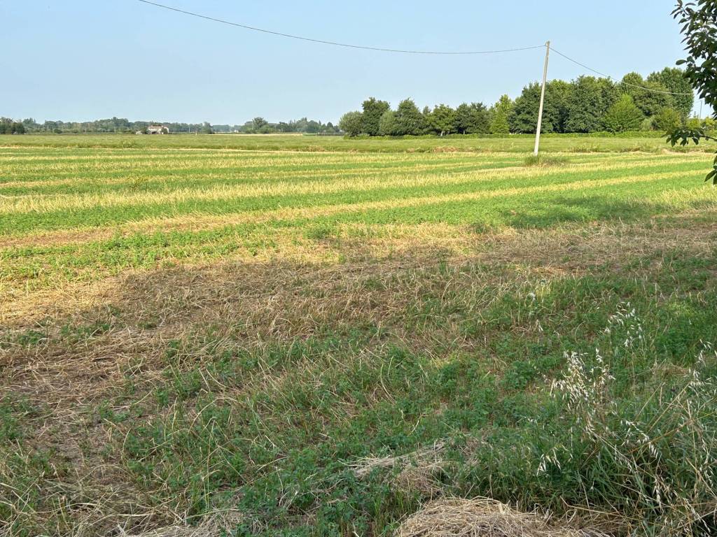 Terreno a Malalbergo in via Cavedagnone Stecchi, 6 - Foto 2