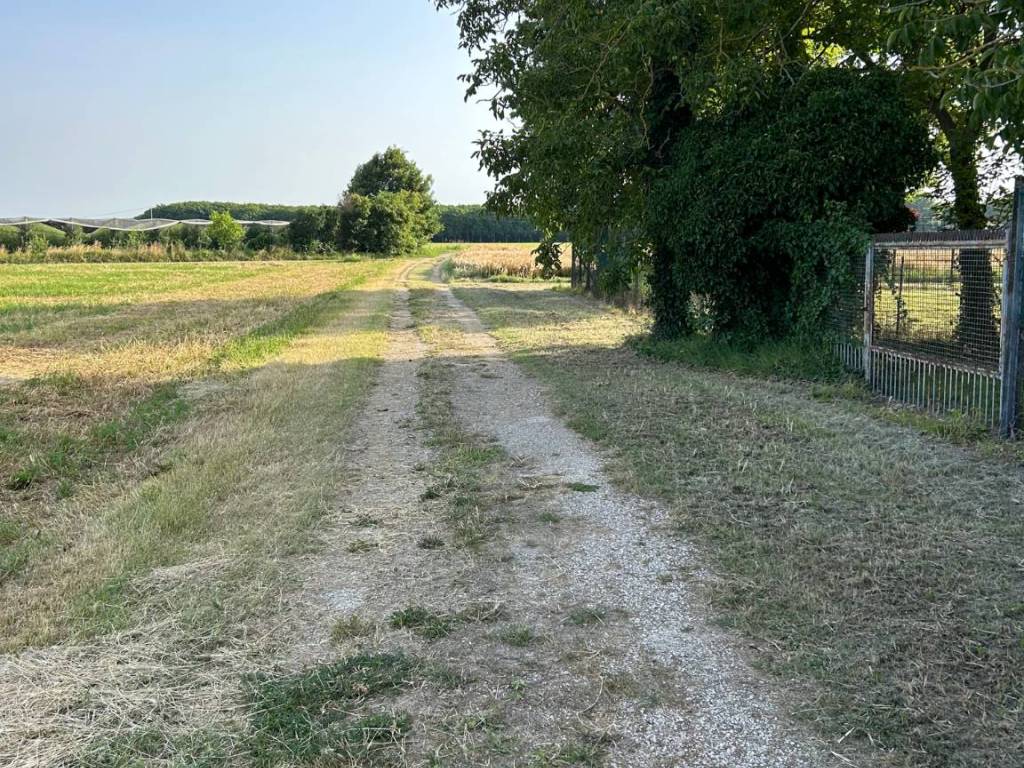 Terreno a Malalbergo in via Cavedagnone Stecchi, 6 - Foto 3