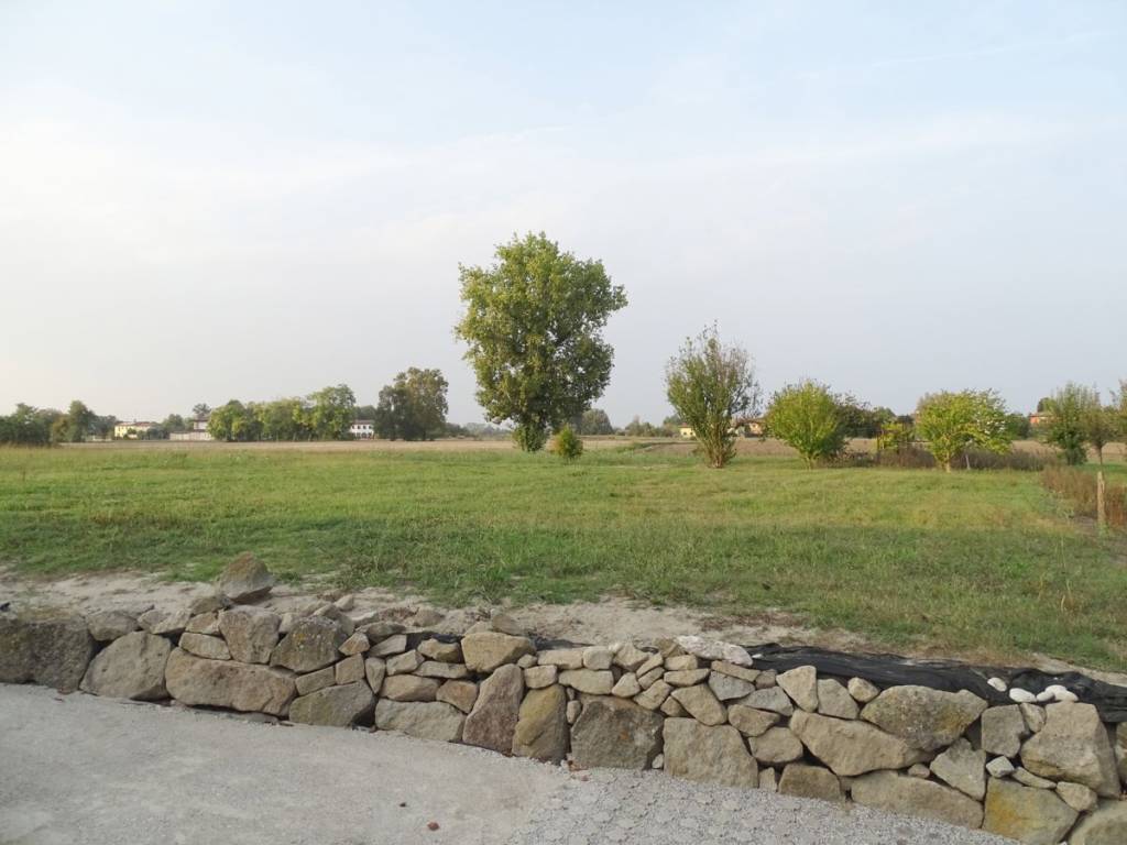 Terreno a Cartura in Via Pozzetto Nespolari, snc - Foto 2
