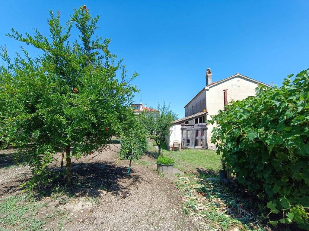 Rustico / casale a Mondolfo in Via Mengaccio - Foto 4