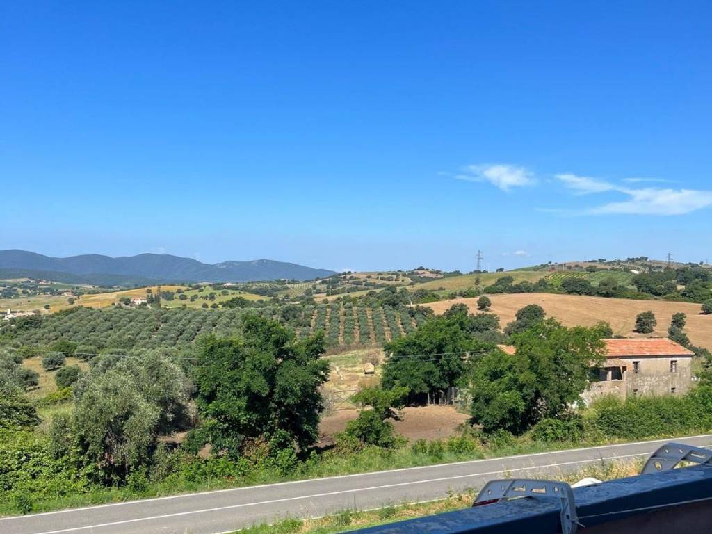 Appartamento a Magliano in toscana in Via della Piantata - Foto 3