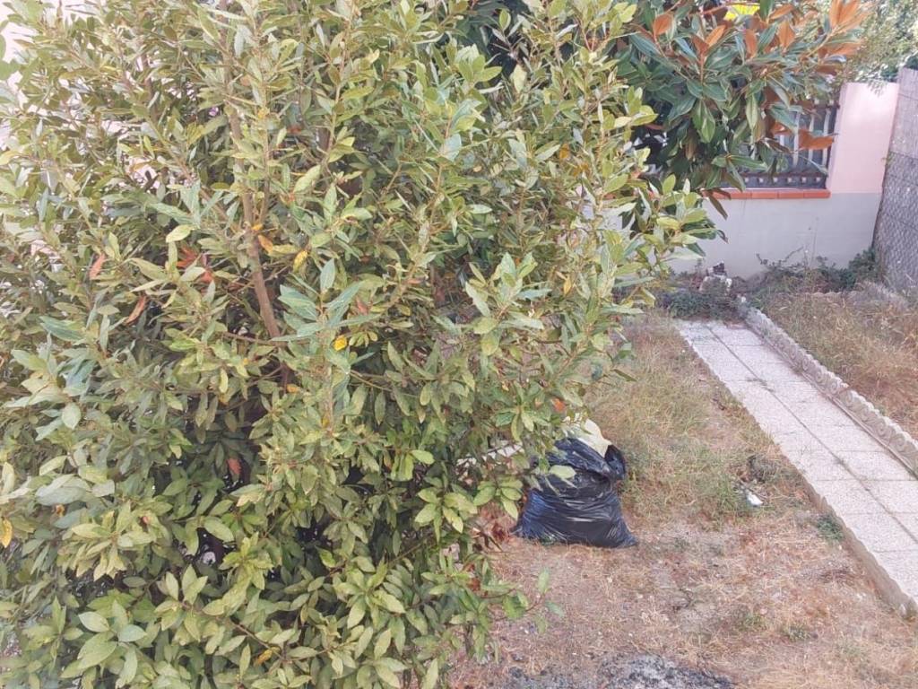 Casa indipendente a Civitanova marche - Foto 3