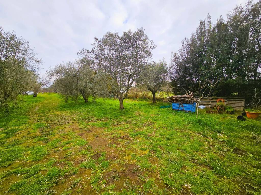 Terreno a Viterbo in Strada San Cataldo - Foto 2