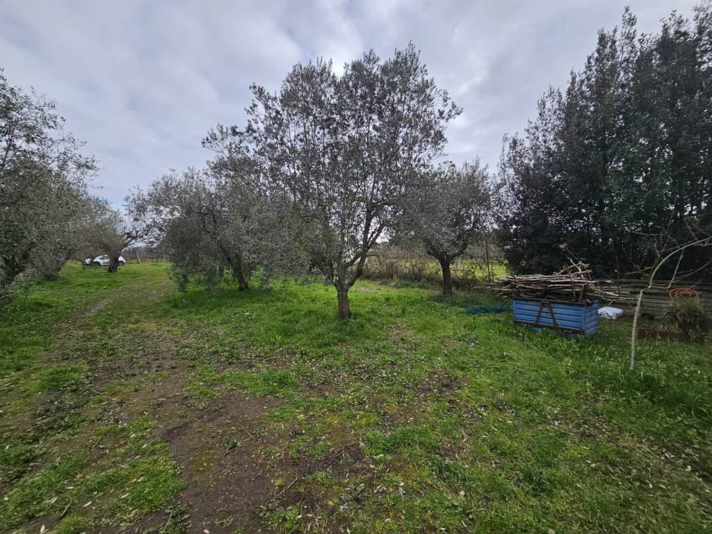 Terreno a Viterbo in Strada San Cataldo - Foto 3