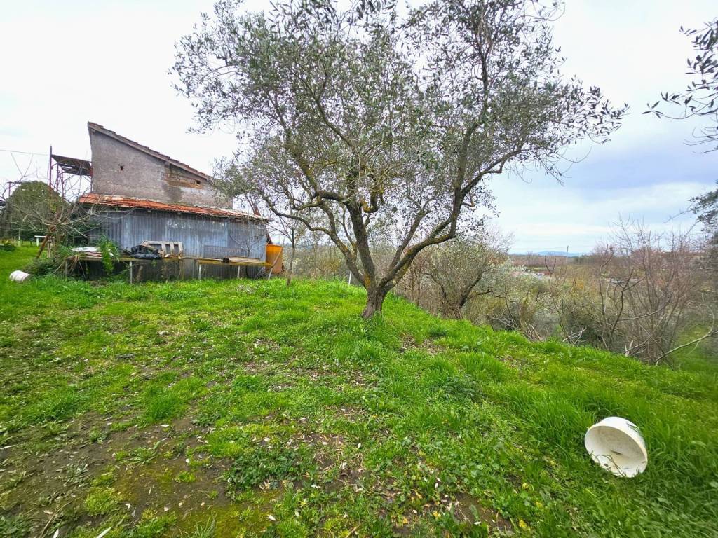 Terreno a Viterbo in Strada San Cataldo - Foto 5