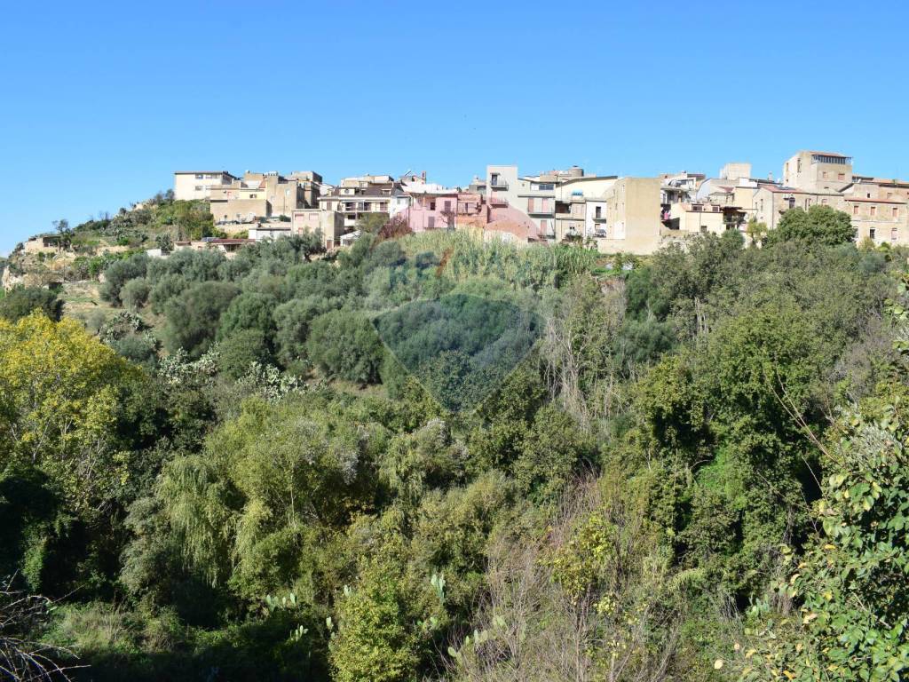 Terreno a Valguarnera caropepe in Via Catanzaro, 144 - Foto 3