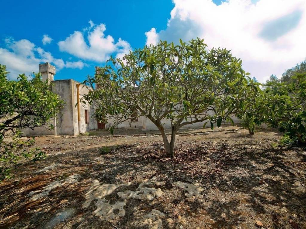 Rustico / casale a Squinzano in Strada Comunale Li Vecchi - Foto 4