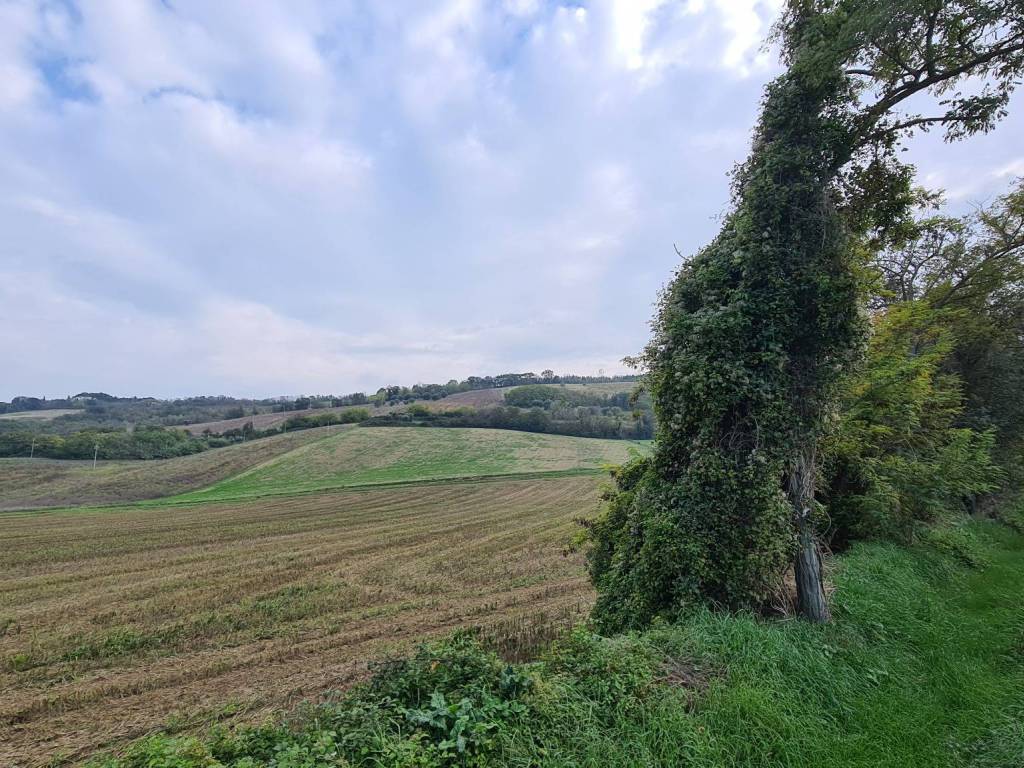 Terreno a Macerata in Contrada Acquesalate, 36 - Foto 3