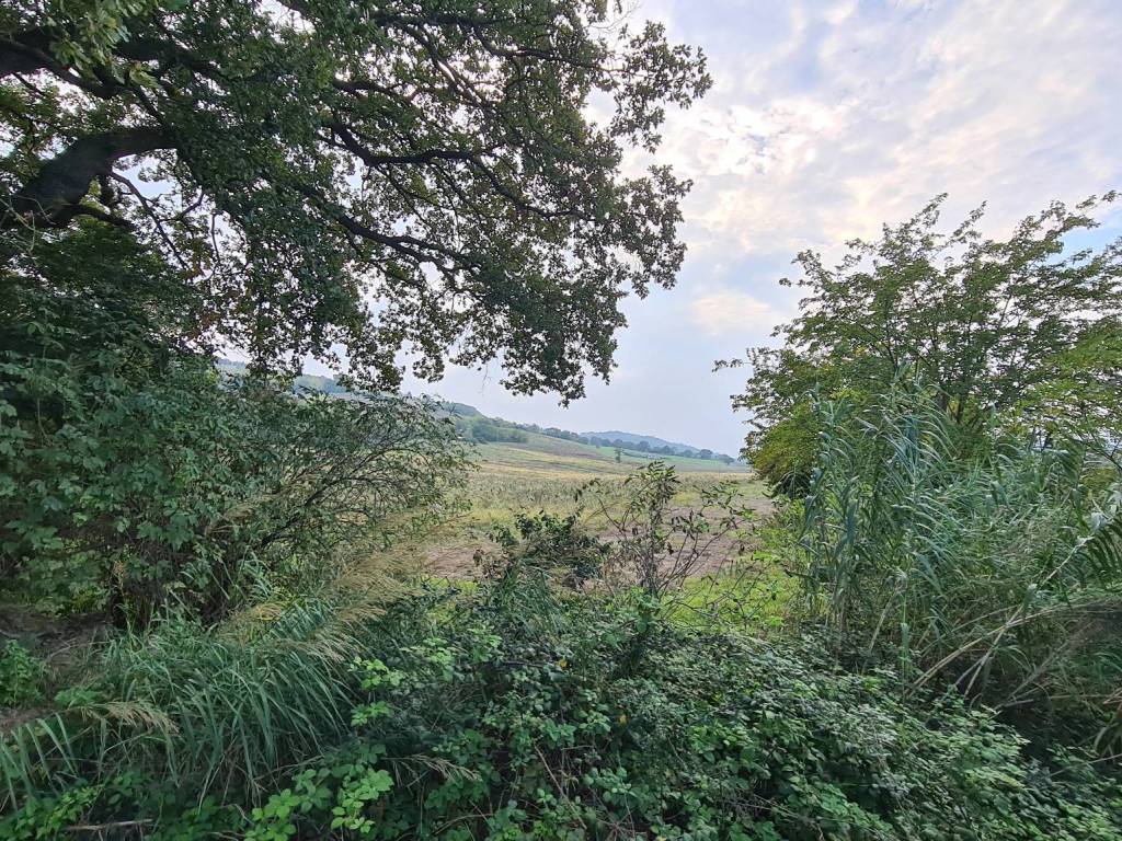 Terreno a Macerata in Contrada Acquesalate, 36 - Foto 5