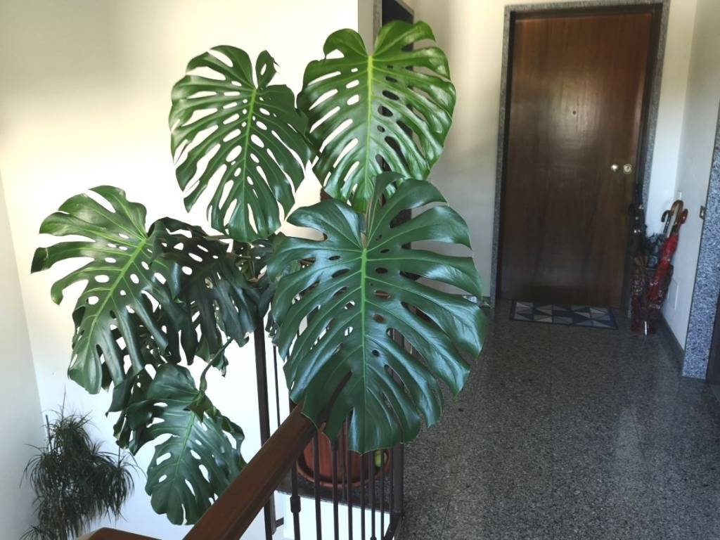Appartamento a Biella in Via Santuario di Oropa, 345 - Foto 4