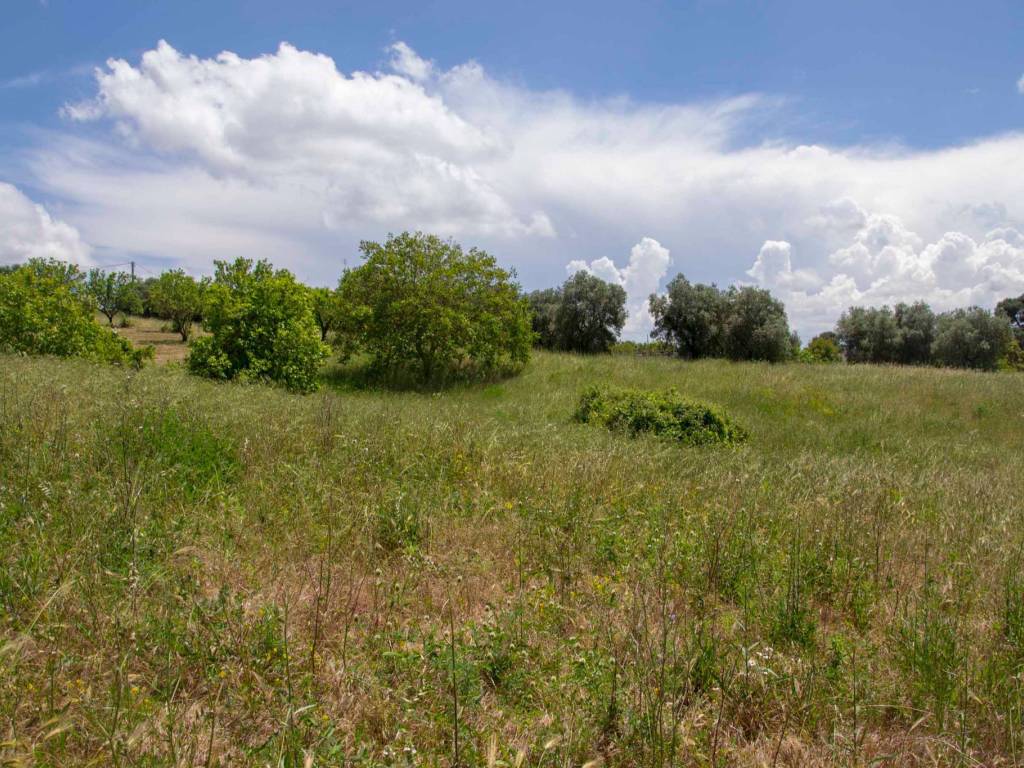 Terreno a Martina franca in Strada Crispiano Zona F, 61 - Foto 2