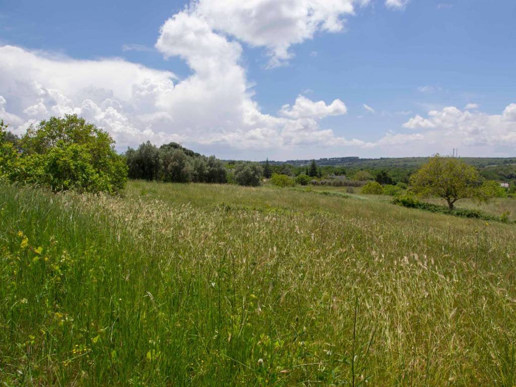 Terreno a Martina franca in Strada Crispiano Zona F, 61 - Foto 5
