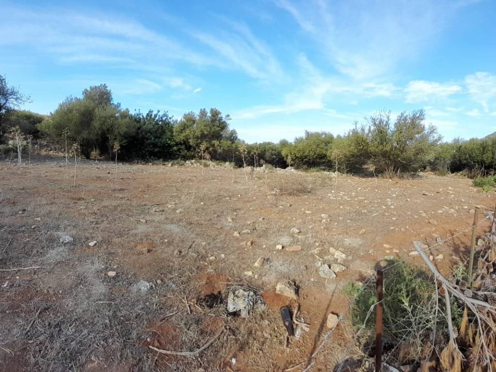 Terreno a Cinisi in Via dei Gigli Traversa 6, 9 - Foto 2