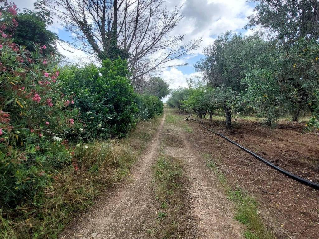 Rustico / casale a Taranto in SP80 - Foto 3