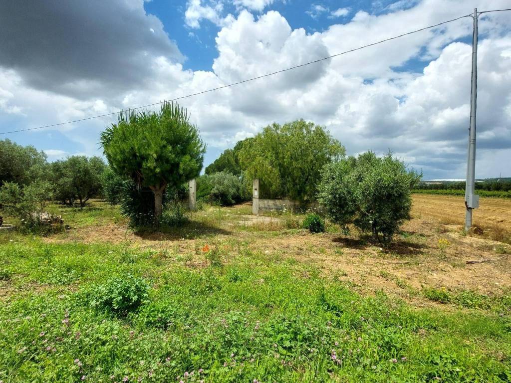 Rustico / casale a Taranto in SP80 - Foto 5