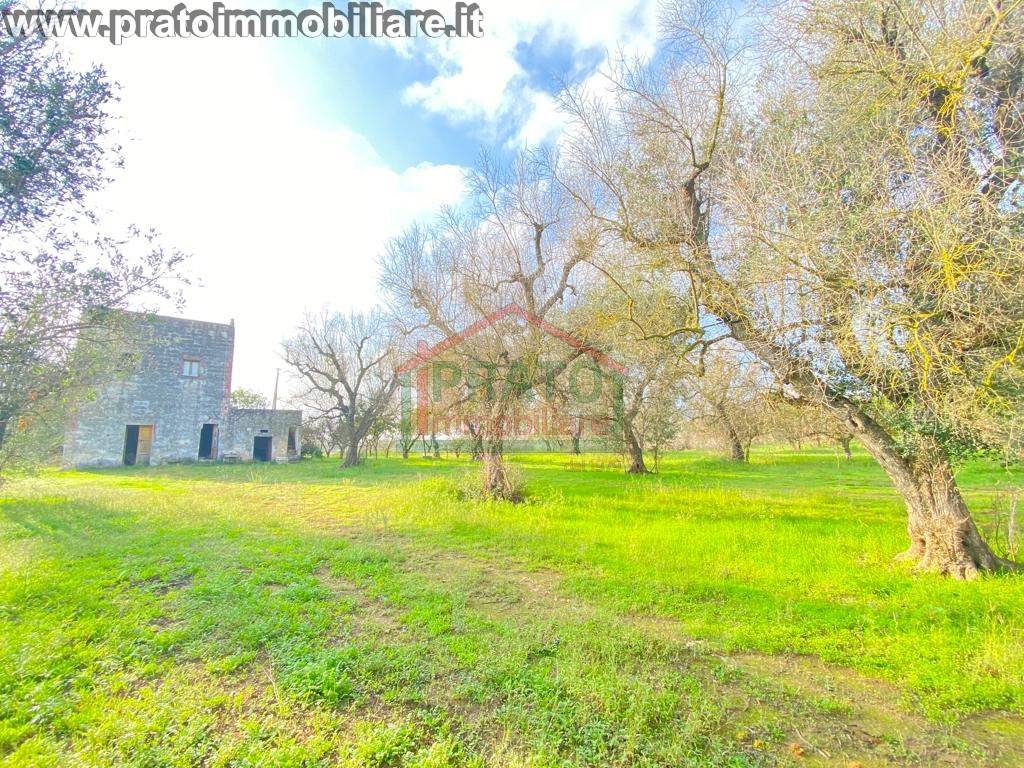 Rustico / casale a Squinzano in Strada Provinciale Campi Squinzano Torchiarolo - Foto 2