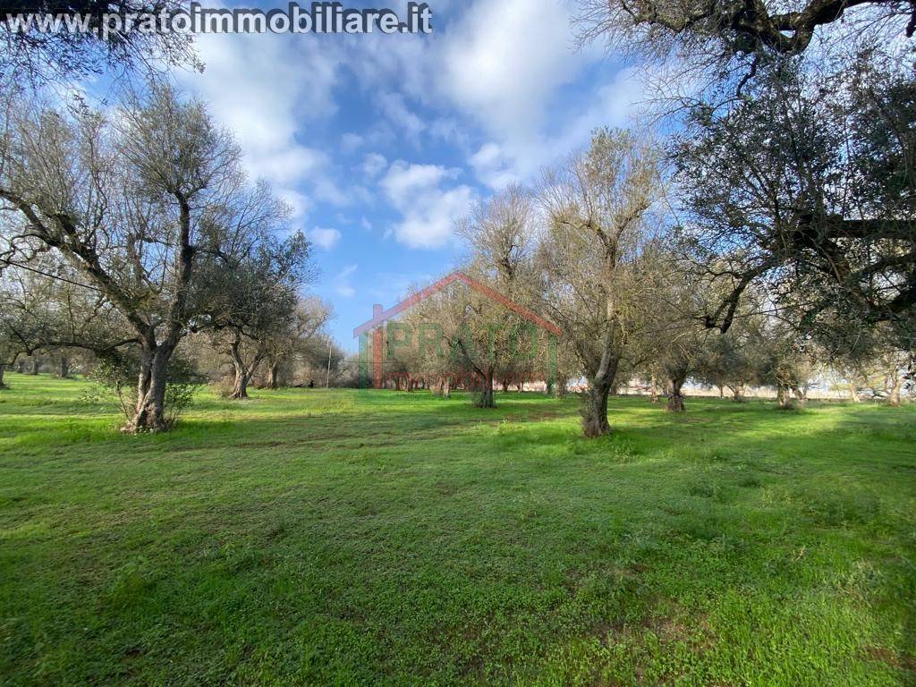 Rustico / casale a Squinzano in Strada Provinciale Campi Squinzano Torchiarolo - Foto 3
