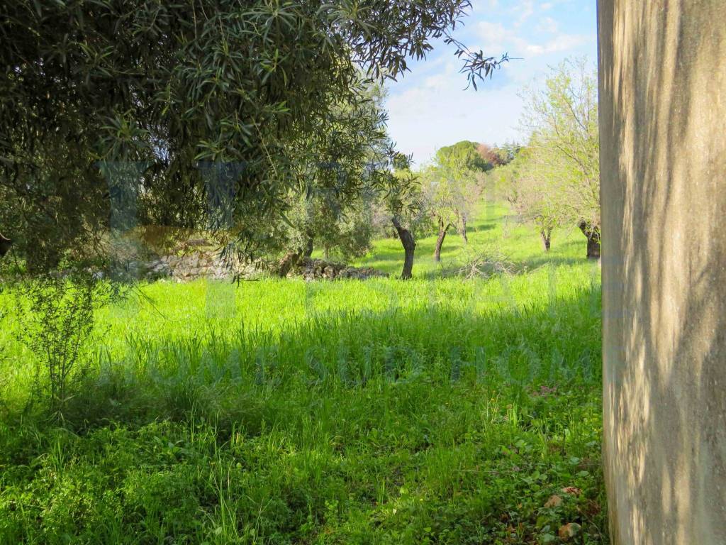 Rustico / casale a Noto in Via Tommaso Fazello, 228 - Foto 3