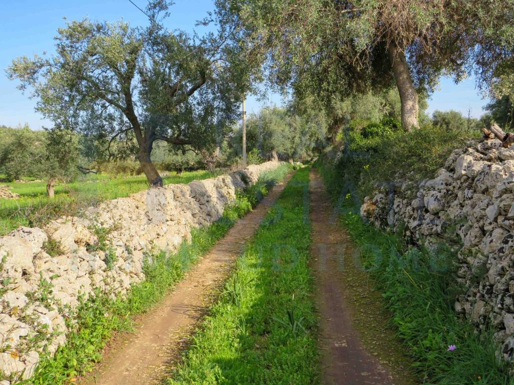 Rustico / casale a Noto in Via Tommaso Fazello, 228 - Foto 5
