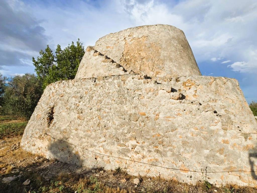 Terreno a Nardò - Foto 3