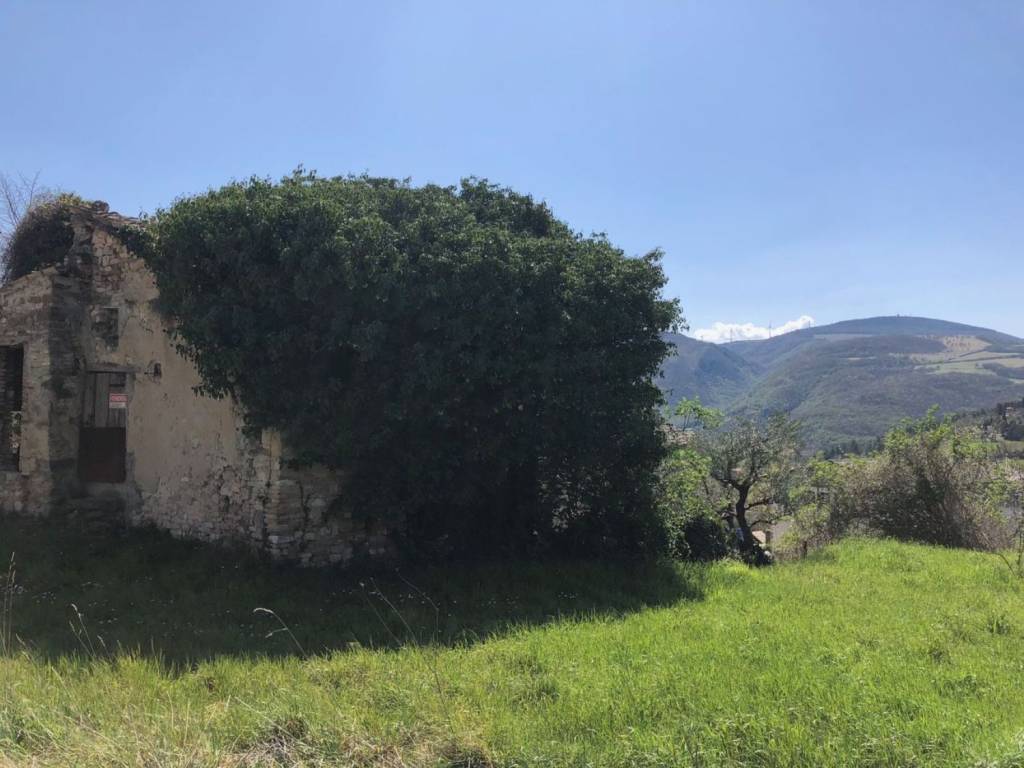 Rustico / casale a San severino marche in Località Serripola - Foto 4