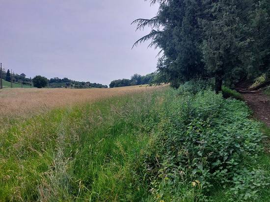 Terreno a Robbiate in Località Duraga - Foto 2