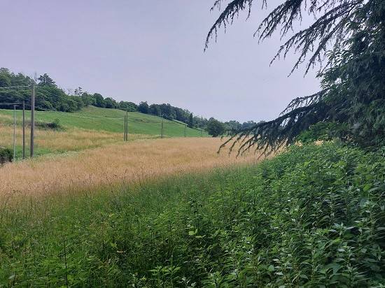 Terreno a Robbiate in Località Duraga - Foto 4