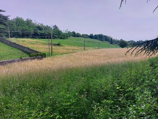 Terreno a Robbiate in Località Duraga - Foto 5