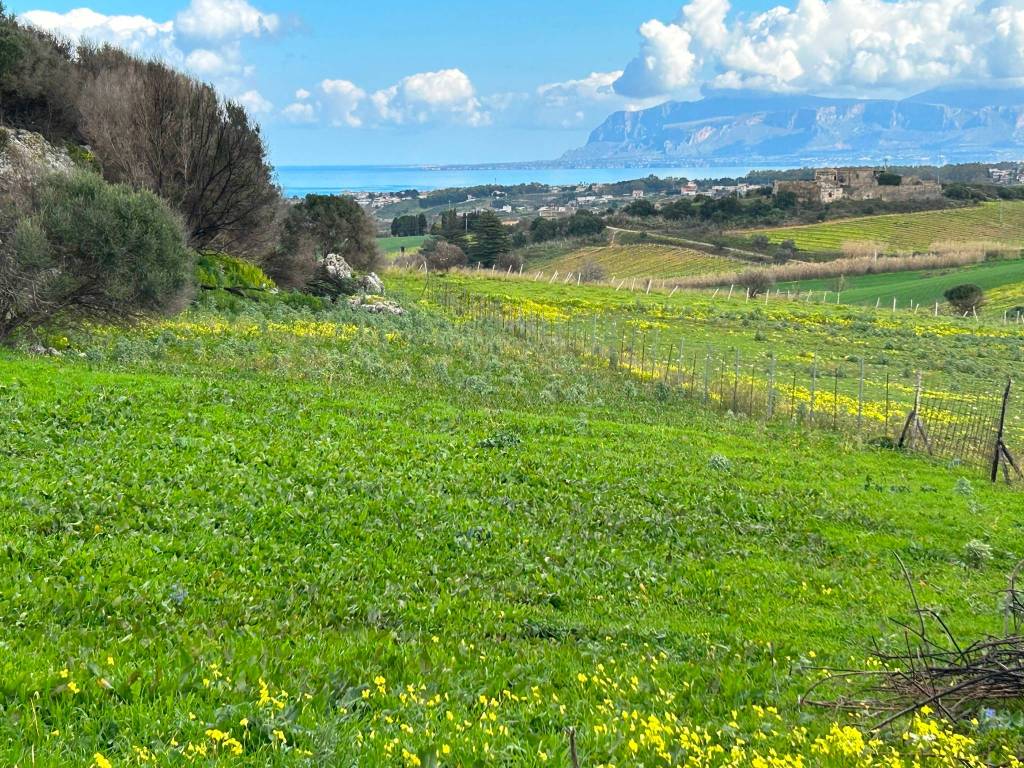 Terreno a Castellammare del golfo - Foto 2